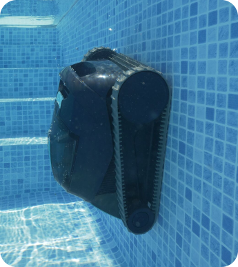 Robot de piscine avec fil Dolphin